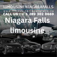 Niagara Falls limousine image 3